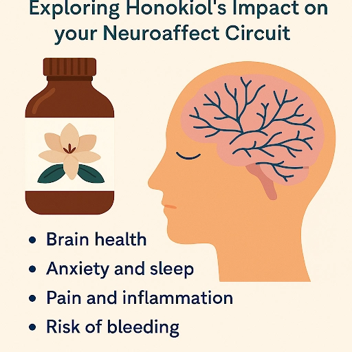 DHH-B Benefits: Exploring Honokiol's Impact on your Neuroaffect Circuit