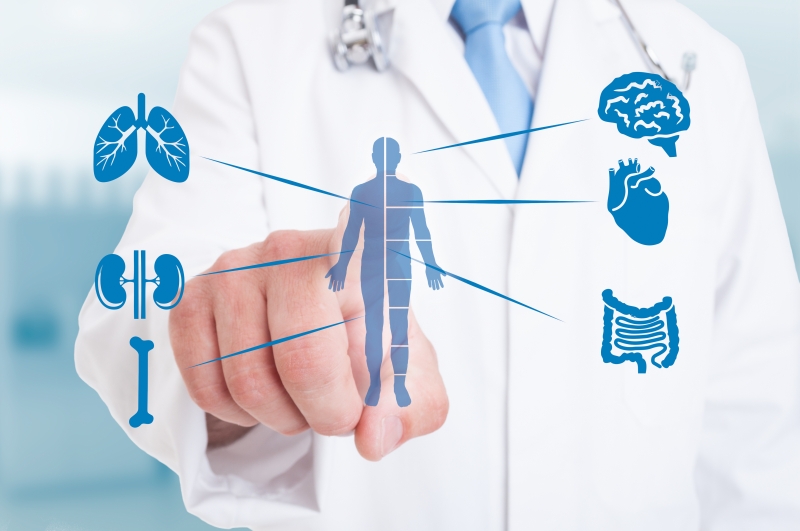 Doctor pointing to a whole-body integrative functional medicine diagram