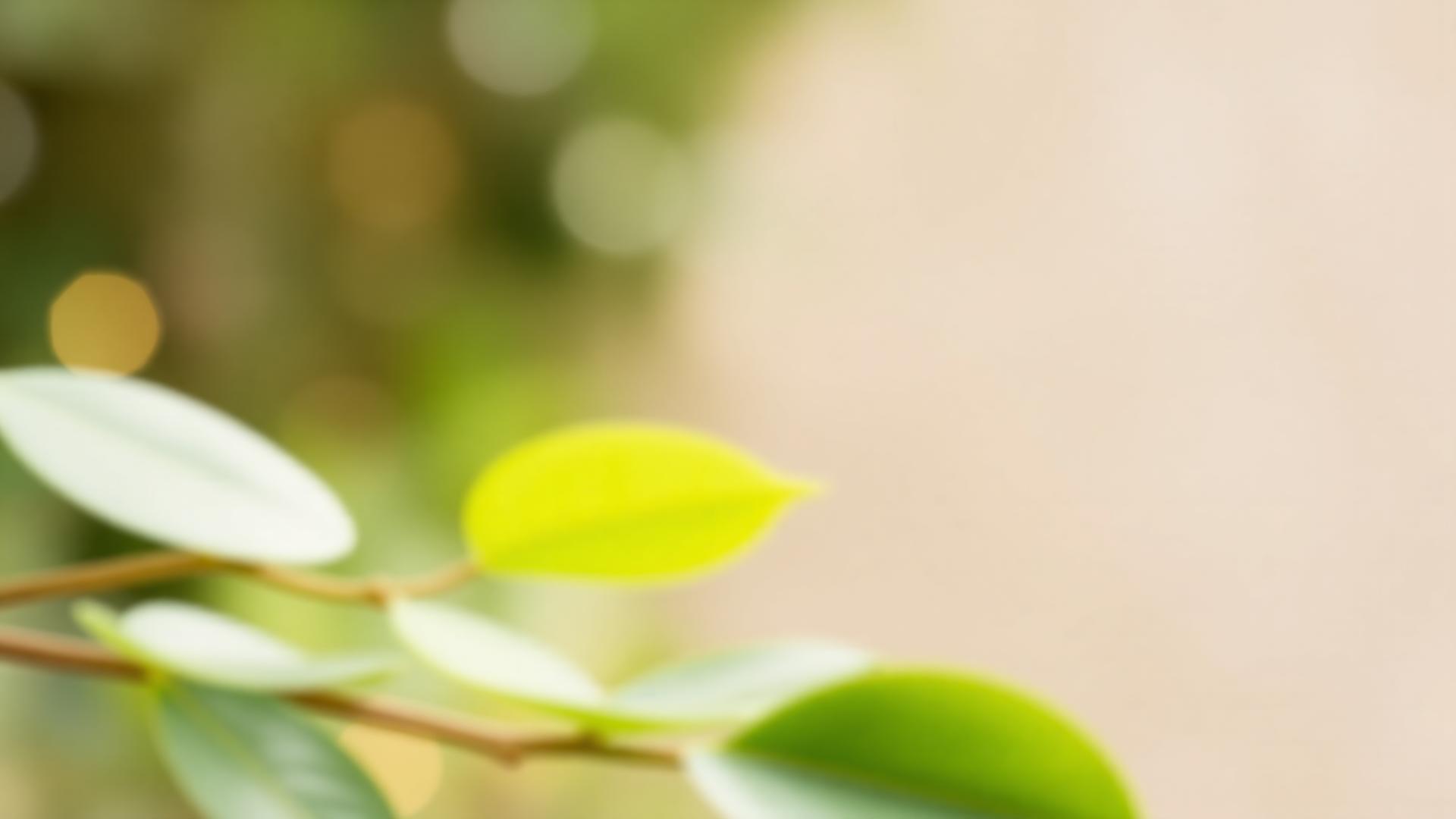 Integrative and functional medicine consultation in Atlanta